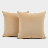 Two beige pillows on a light gray background